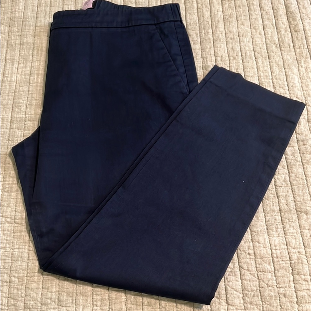 🔥🔥THEORY Treeca Cotton Navy Pants